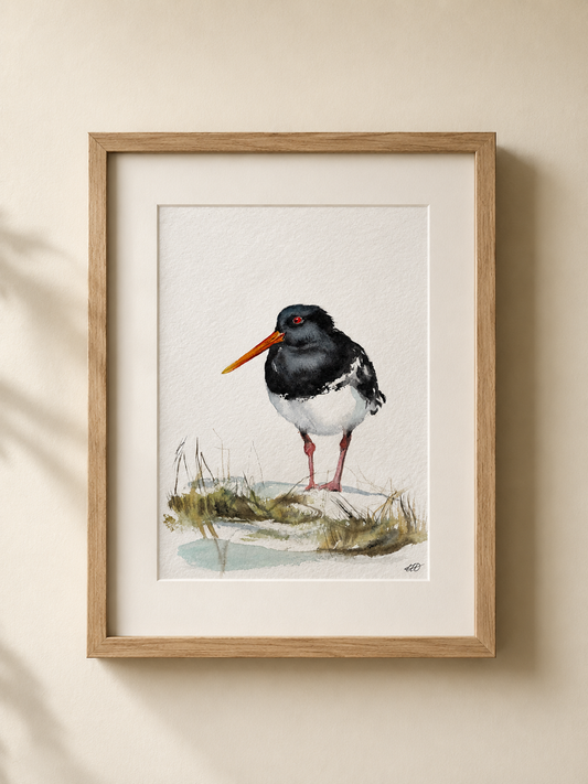 Oystercatcher No. 1