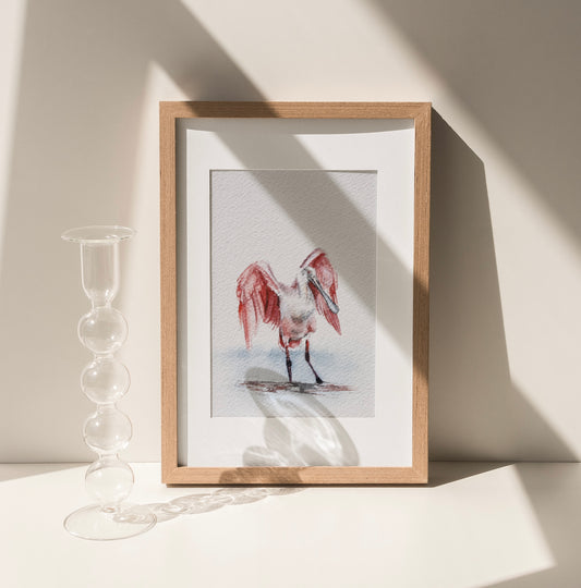 Roseate Spoonbill No. 1