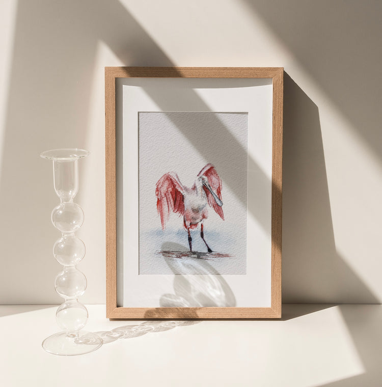 Roseate Spoonbill No. 1