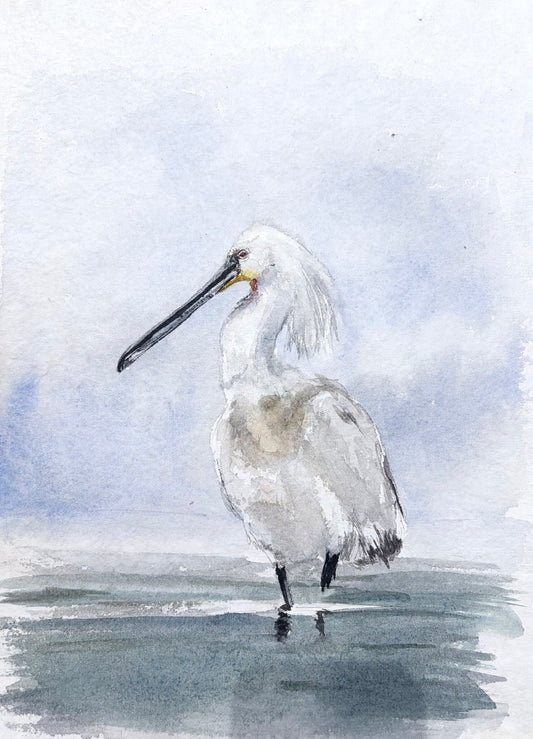 Eurasian Spoonbill No. 1