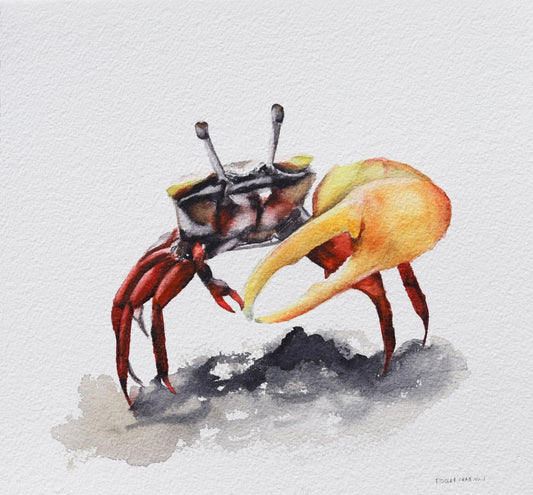 Fiddler Crab No. 1 - Print