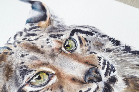 Eastern Bobcat No. 1