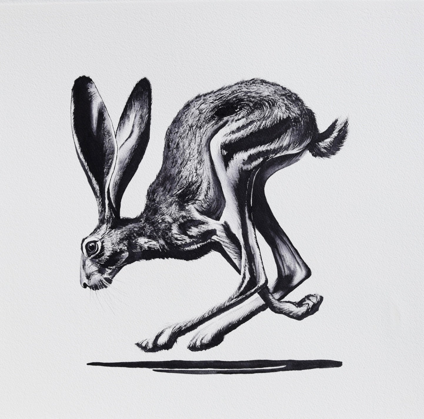 HARE RAISING No. 4