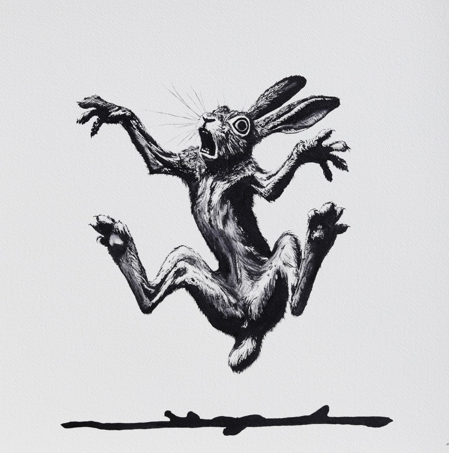 HARE RAISING No. 5