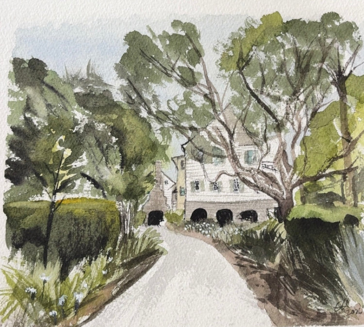 Kiawah Nest No. 7