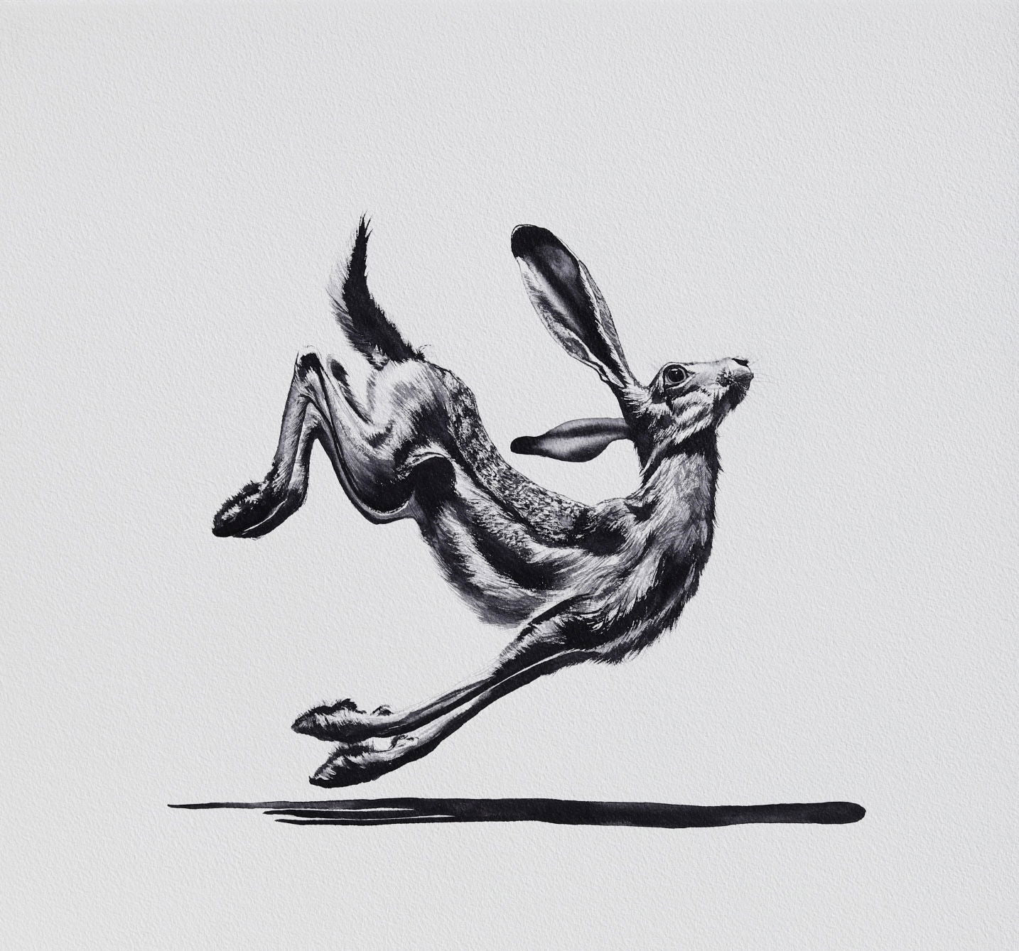 HARE RAISING | 2025