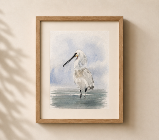 Eurasian Spoonbill No. 1