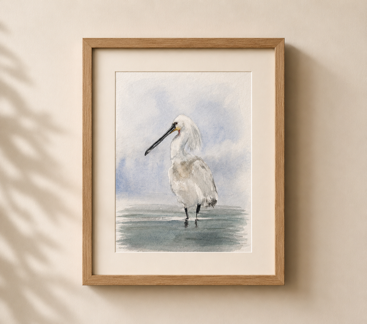 Eurasian Spoonbill No. 1