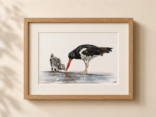 Oystercatcher No. 2
