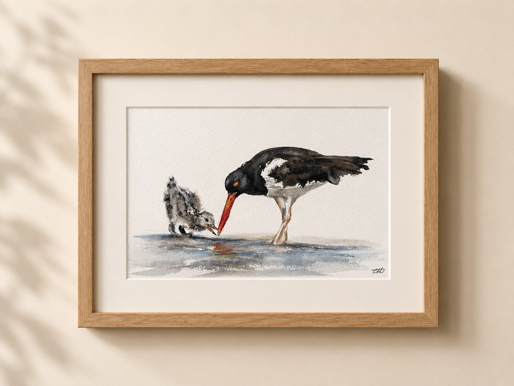 Oystercatcher No. 2
