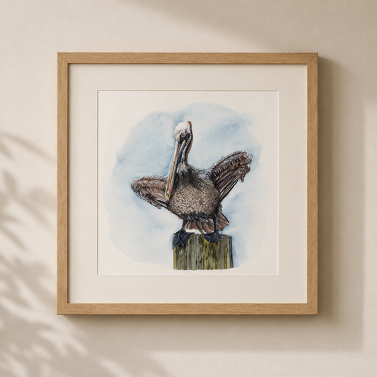 Eastern Brown Pelican No. 2