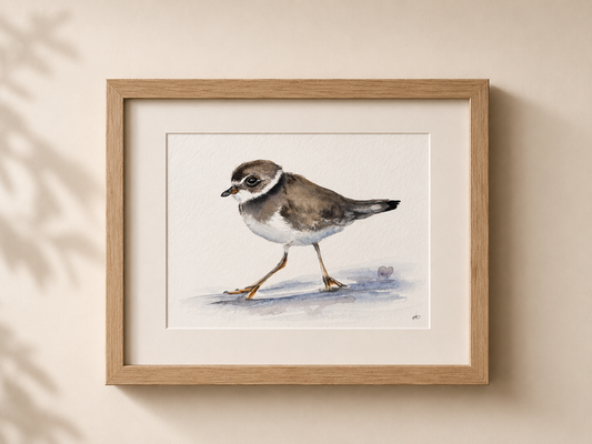Ringed Plover No. 4