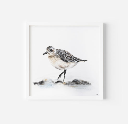 *NEW*  PLOVER 16x16 | PRINT