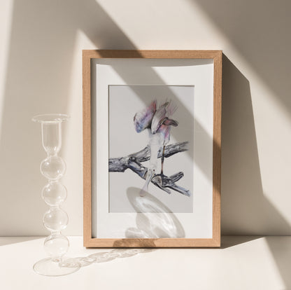 Spoonbill No. 2 - 11 x 14”