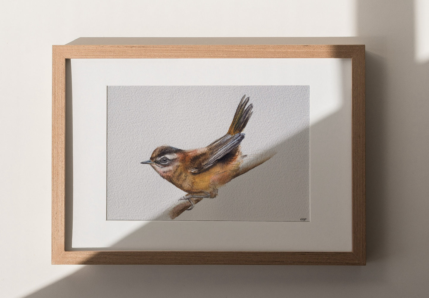 Moustached Warbler No. 1