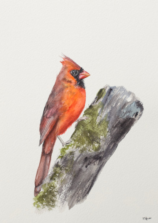 Cardinal No. 1