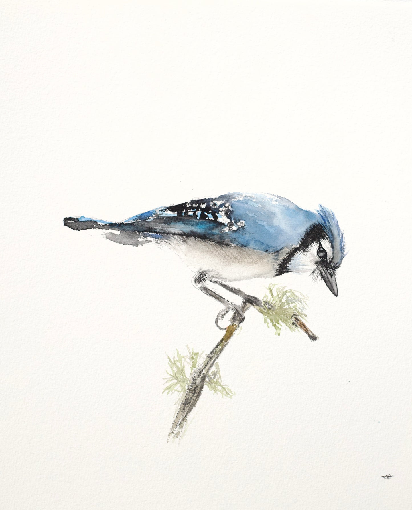 Blue Jay No. 1