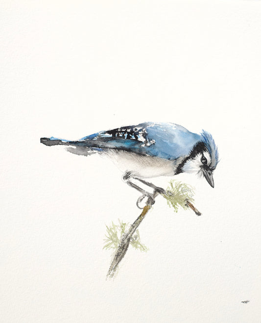Blue Jay No. 1