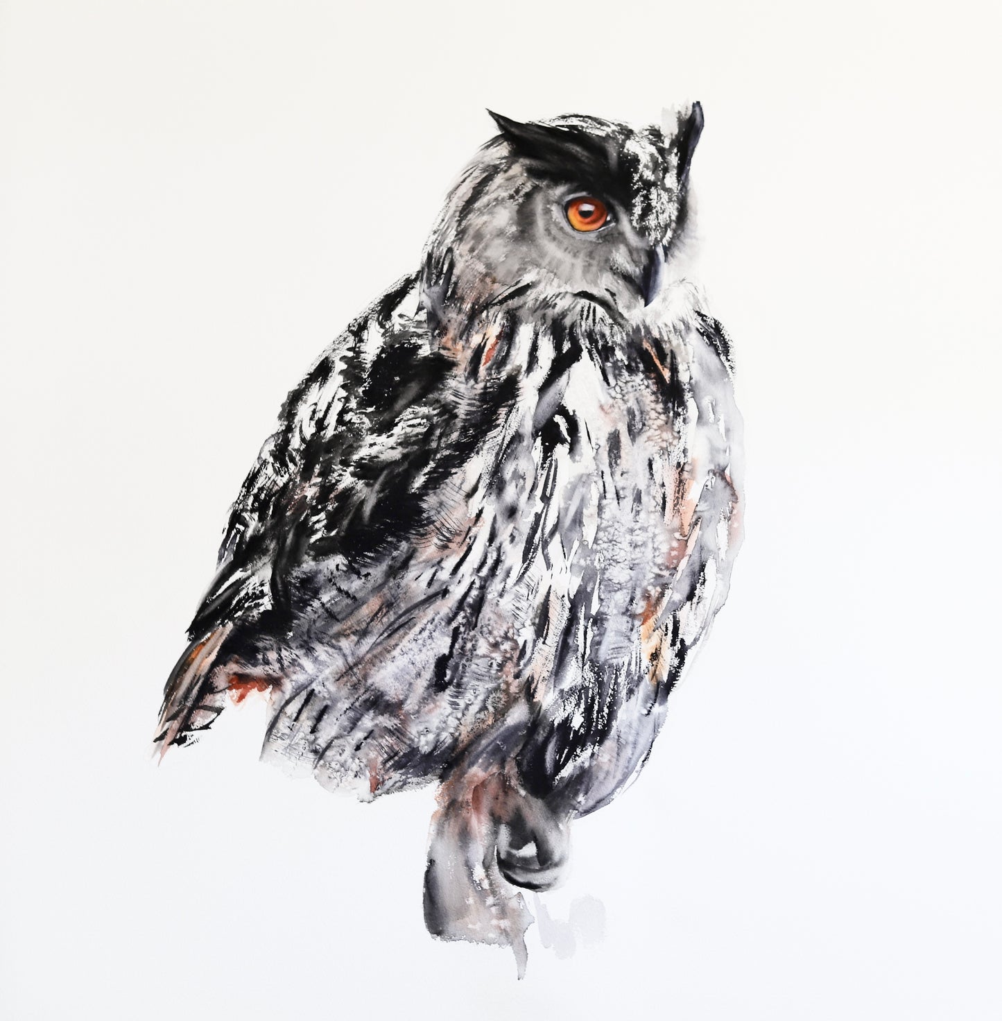 Eurasian Eagle-Owl-No.1