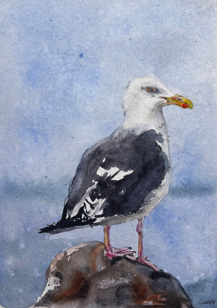 Seagull No. 2