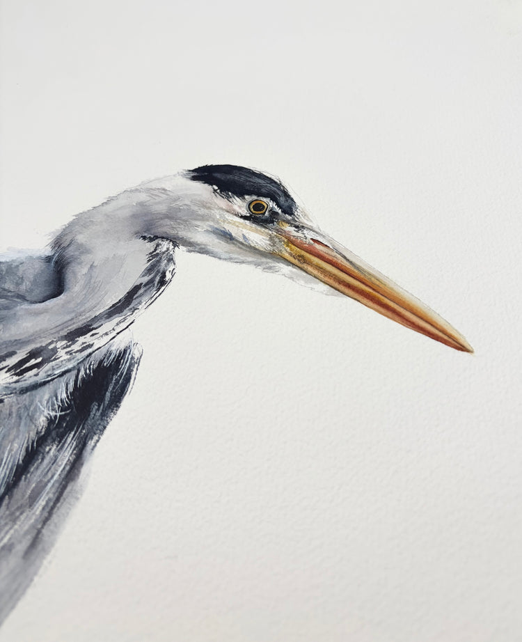 Great Blue Heron No. 5