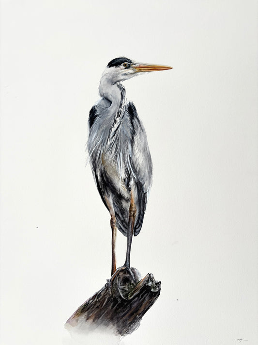 Great Blue Heron No. 5