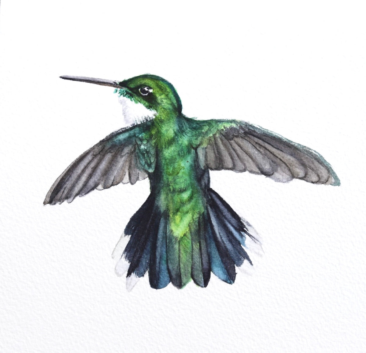 Tiny Titans No. 16