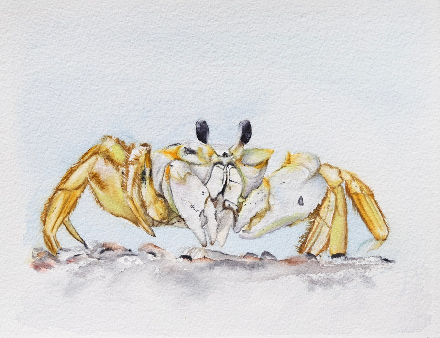Ghost Crab No. 1