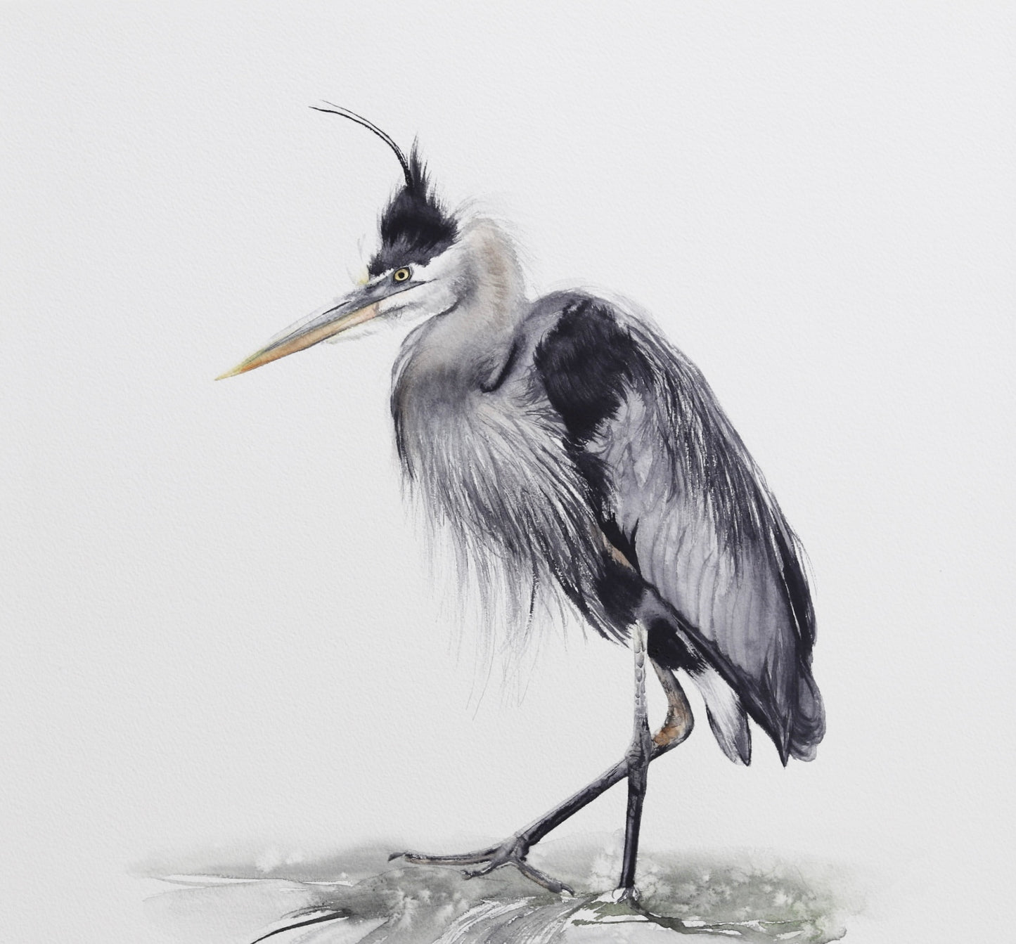 Blue Heron No. 1