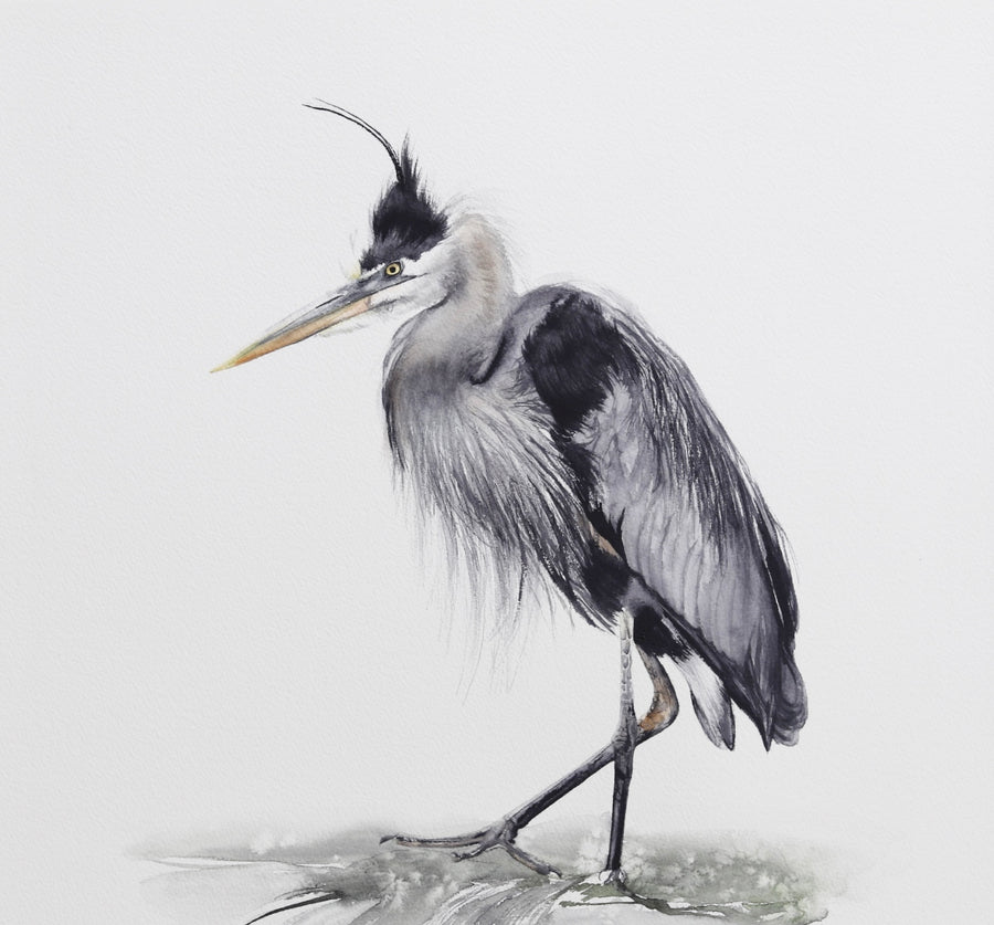 Blue Heron No. 1