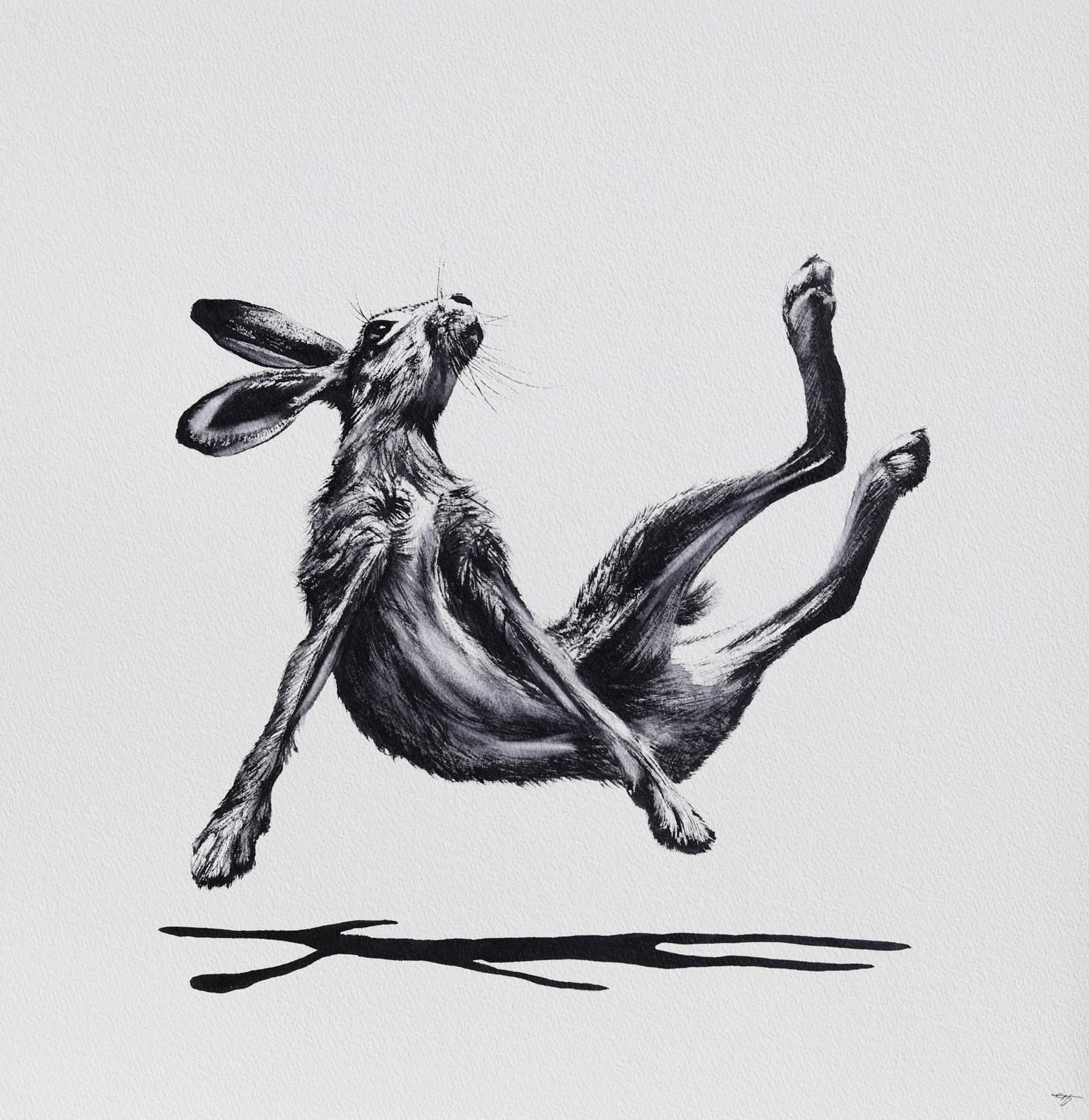 HARE RAISING No. 2