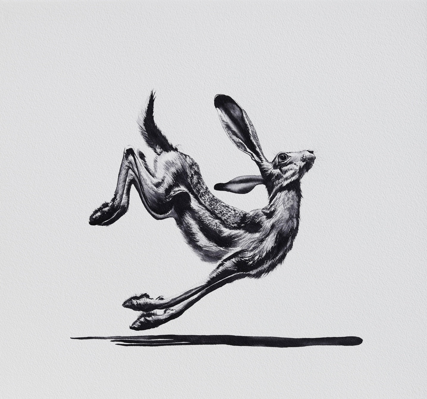 Hare Raising No. 4