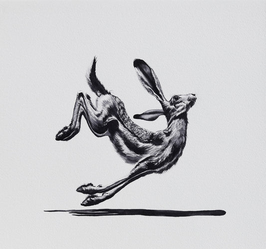Hare Raising No. 4