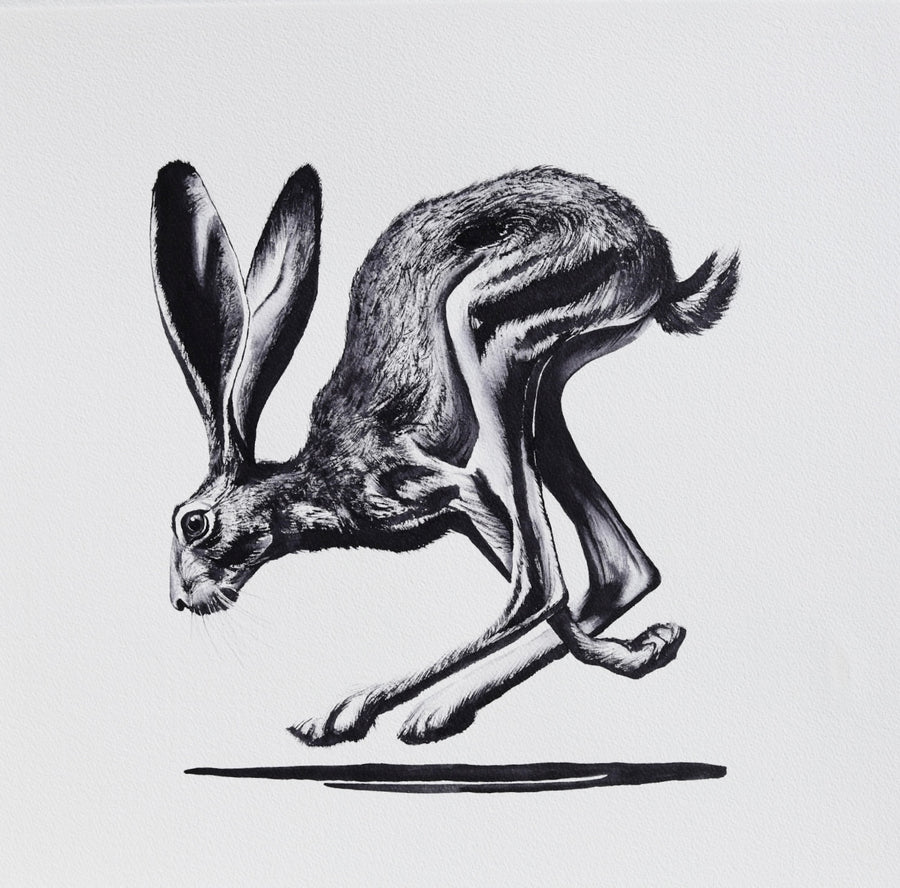 Hare Raising No. 5