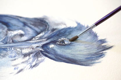 Belted Kingfisher No. 1 - 11 x 14”