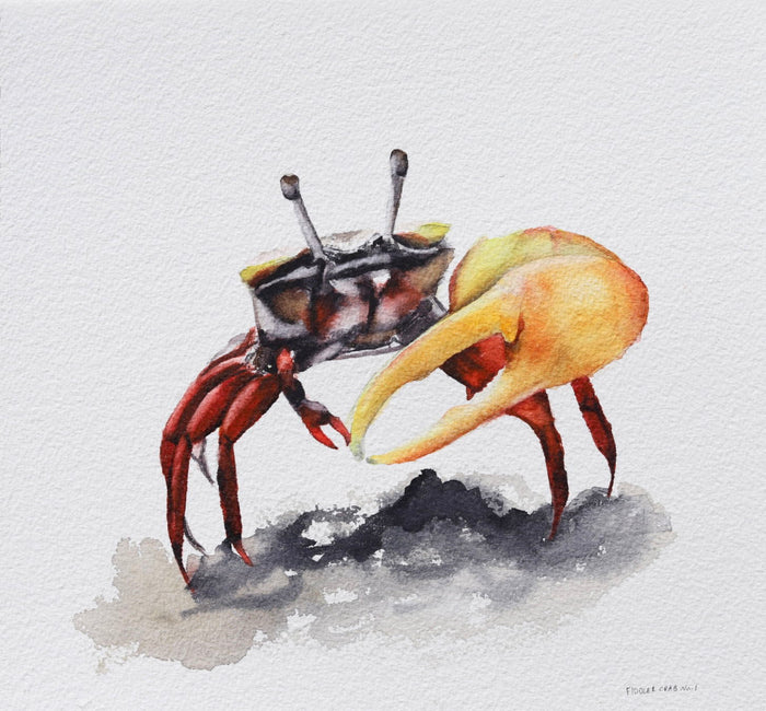 Fiddler Crab No. 1