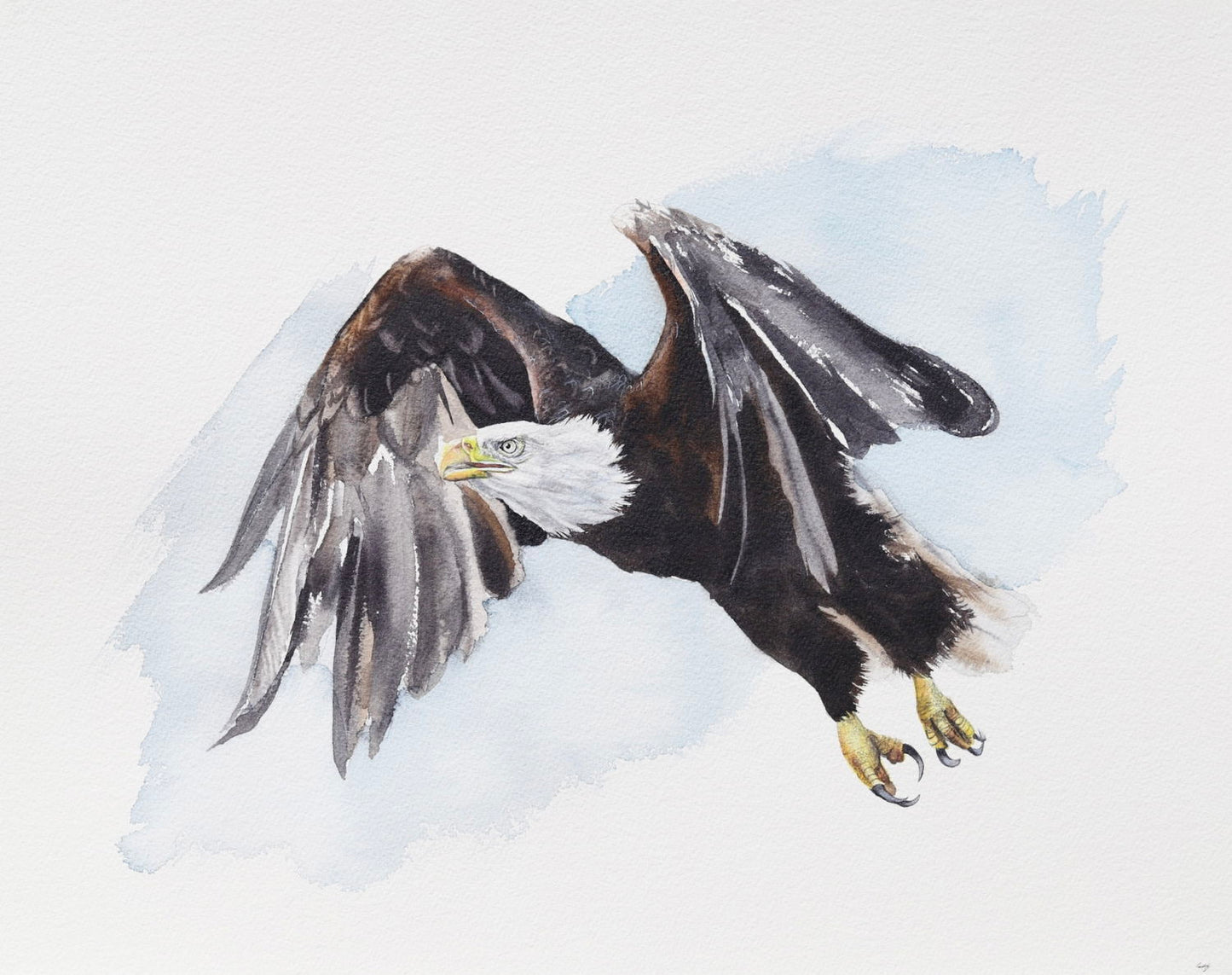 Bald Eagle No. 2