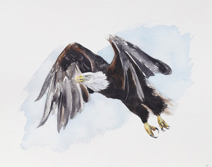 Bald Eagle No. 2