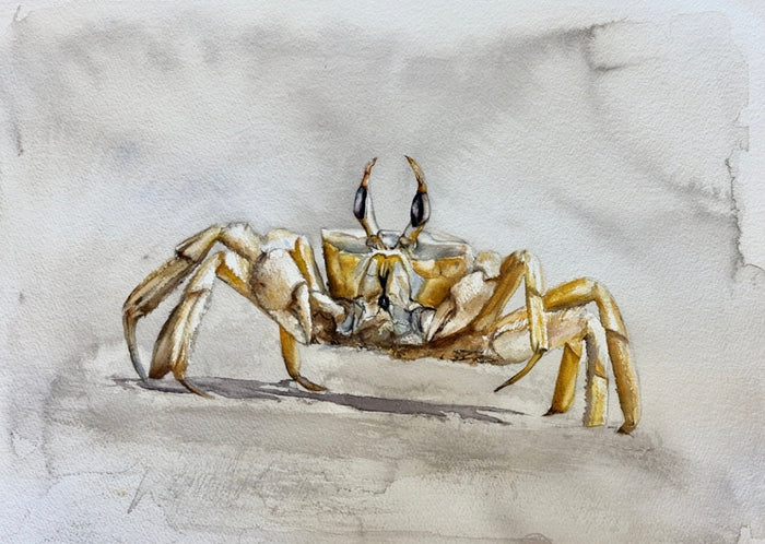 Ghost Crab No. 2